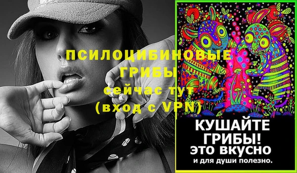 дмт Баксан