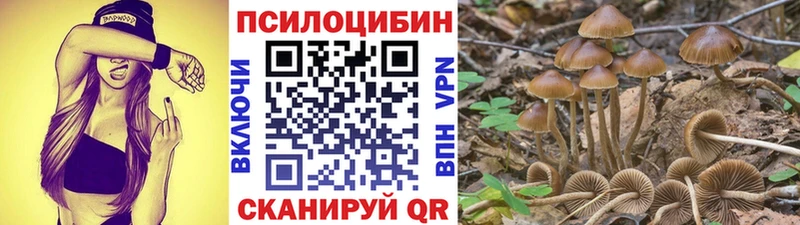 Галлюциногенные грибы прущие грибы Беслан