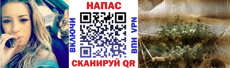 Марихуана VHQ  Беслан 
