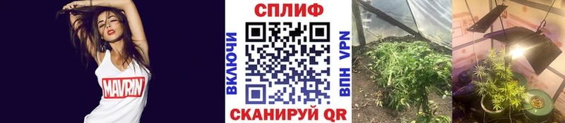 Канабис White Widow Беслан